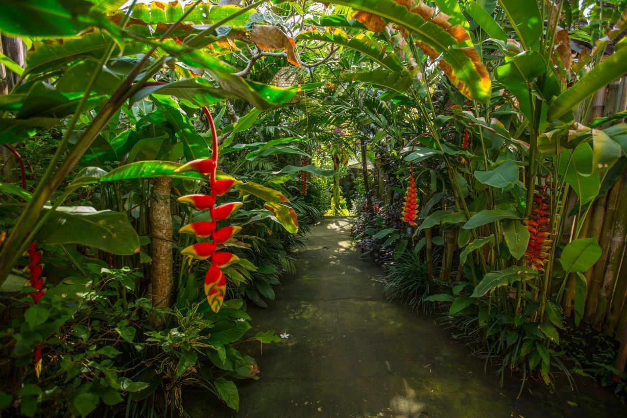 D'Bale Ananda Ubud Villa Eksteriør billede